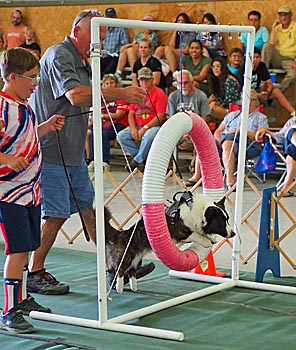 Adults, 4-H'er, and dog on agility course