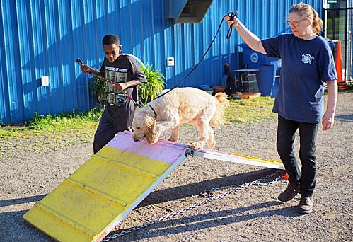 Leader, 4-H'er, Dog