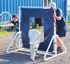 4-h'er, leader, and dog jumping