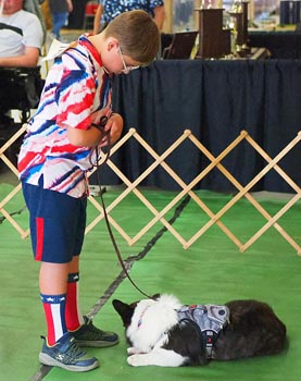 4-H'er with dog