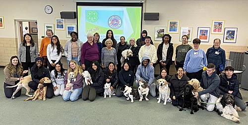 Leaders, dogs, and nursing students