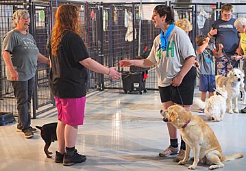 4-hers and dogs practicing greeting one another