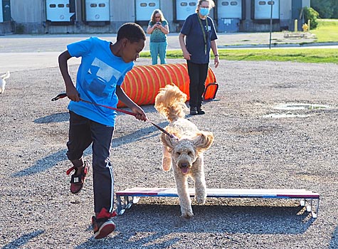 Boy and dog running